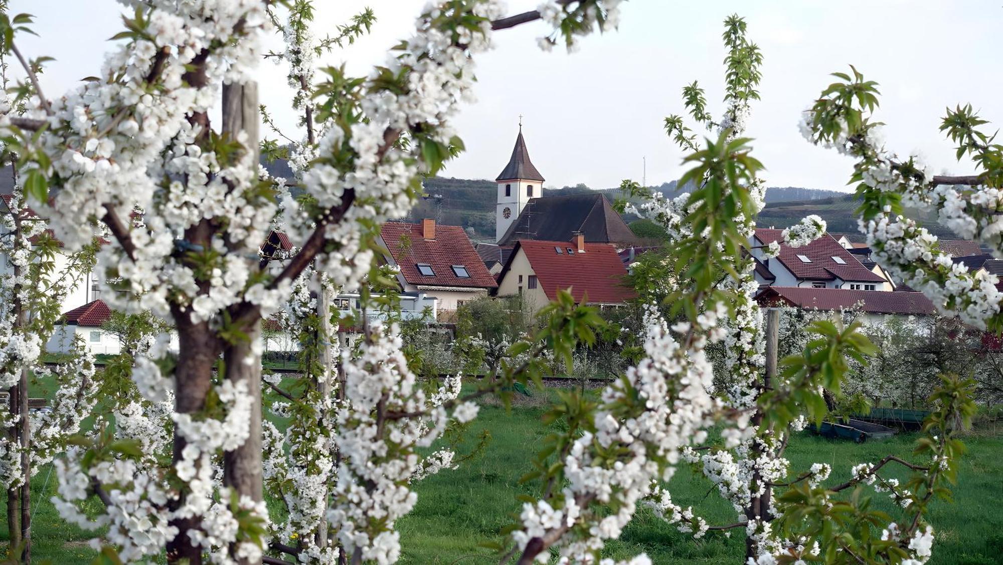Ferienwohnung Fliegerhorst Endingen am Kaiserstuhl Εξωτερικό φωτογραφία