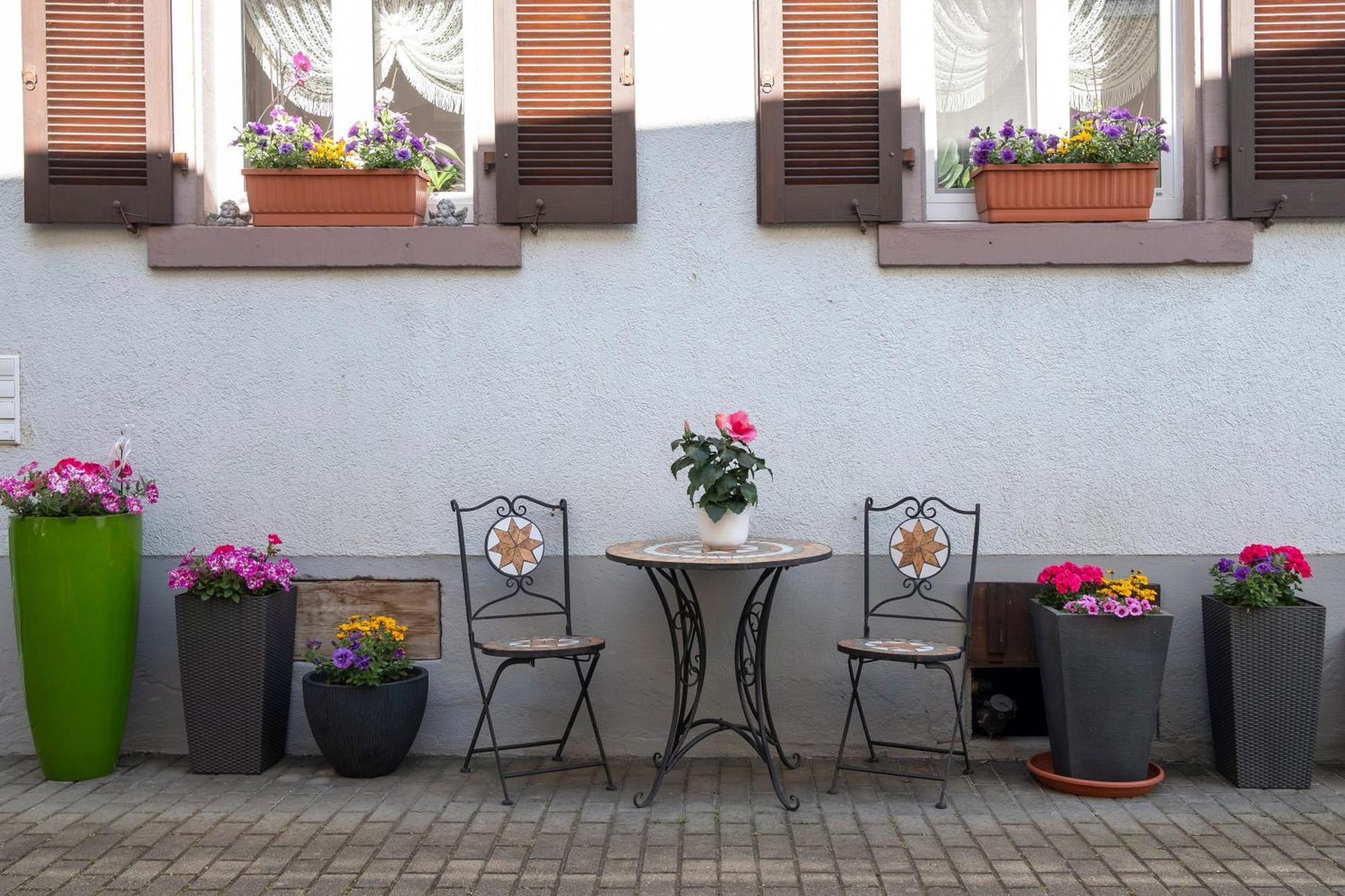 Ferienwohnung Fliegerhorst Endingen am Kaiserstuhl Εξωτερικό φωτογραφία
